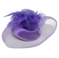 Veiled Fascinator