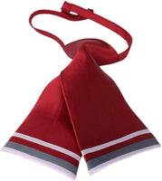 Ladies Formal Necktie ( Nine Color Choices)