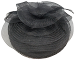Veiled Fascinator