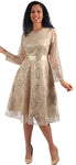 Fancy Dressy Dress
